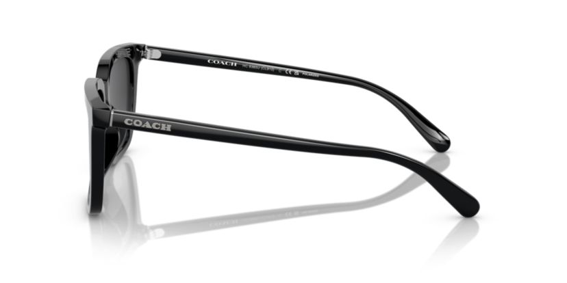 HC8385U CL910 Polarized Sunglasses