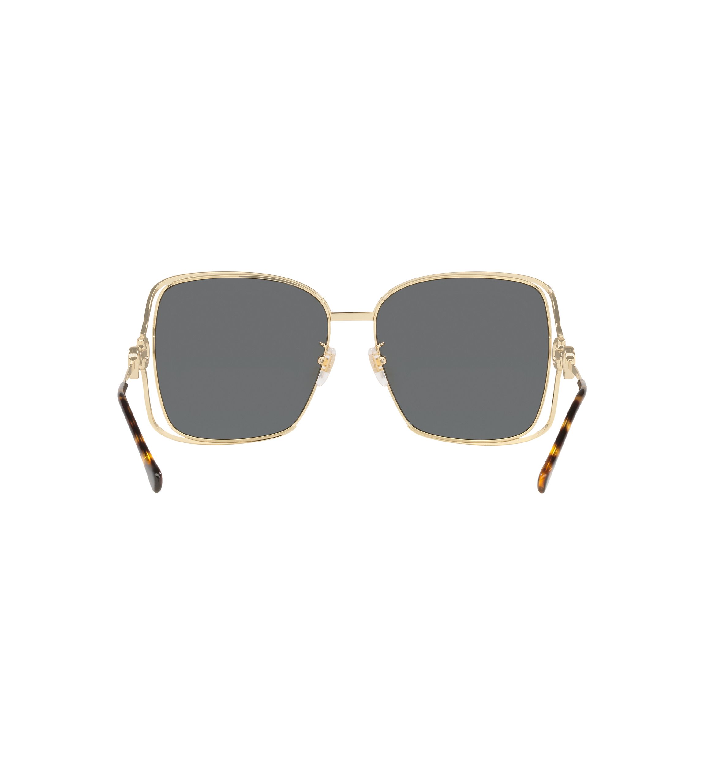 DG6134 Sunglasses