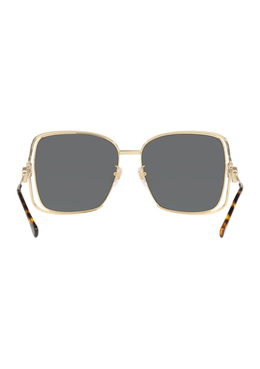 DG6134 Sunglasses