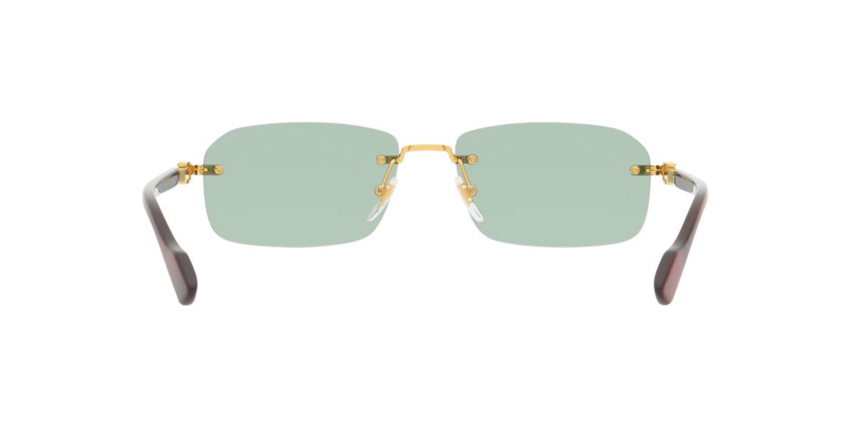 GC001968 GG1221S Sunglasses