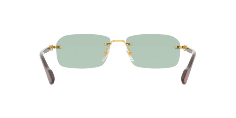 GC001968 GG1221S Sunglasses