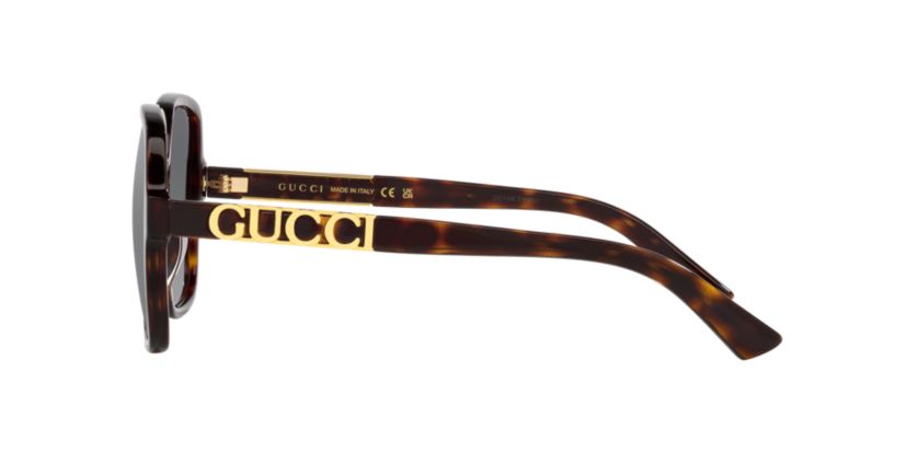 GC001949 GG1189S Sunglasses