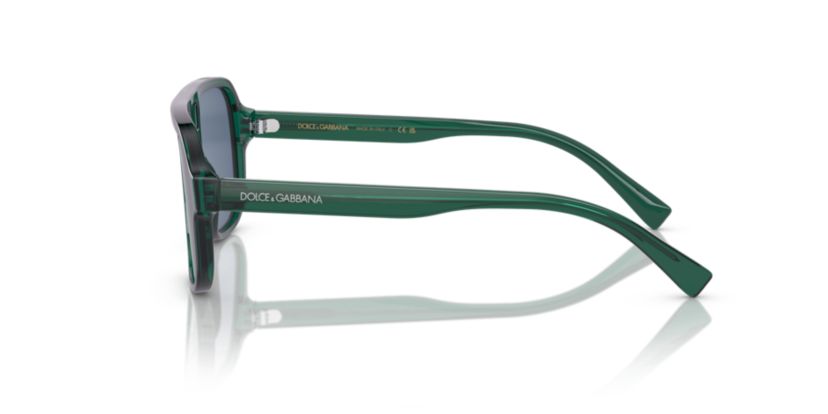 DX4003 Kids Sunglasses