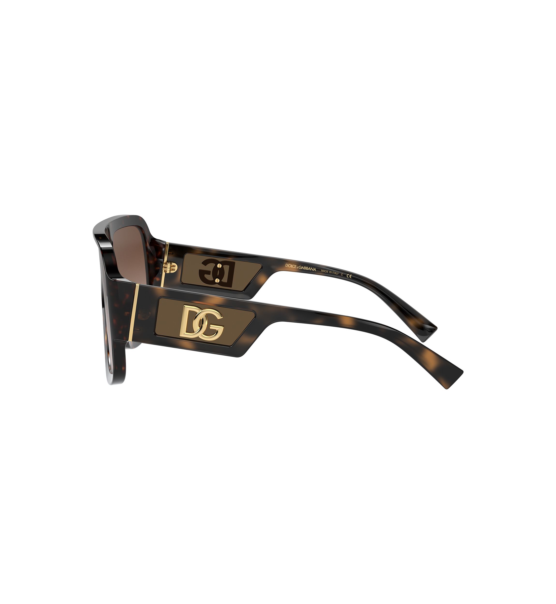 DG4401 Sunglasses