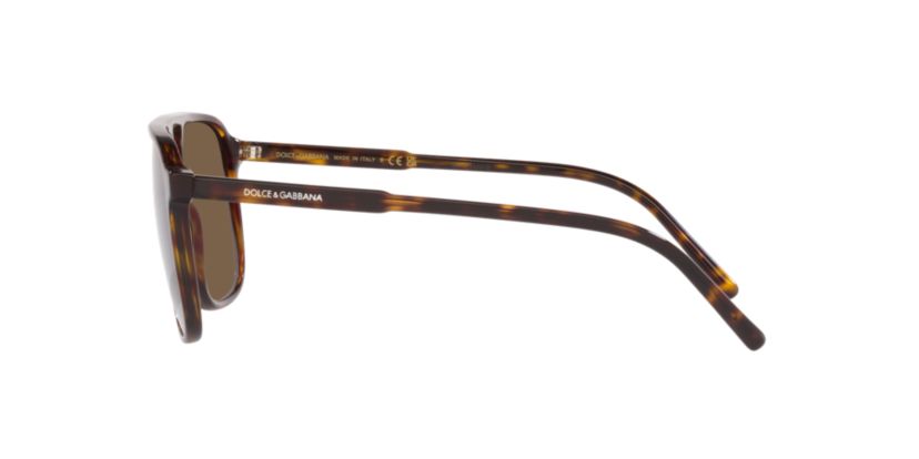 Polarized Sunglasses