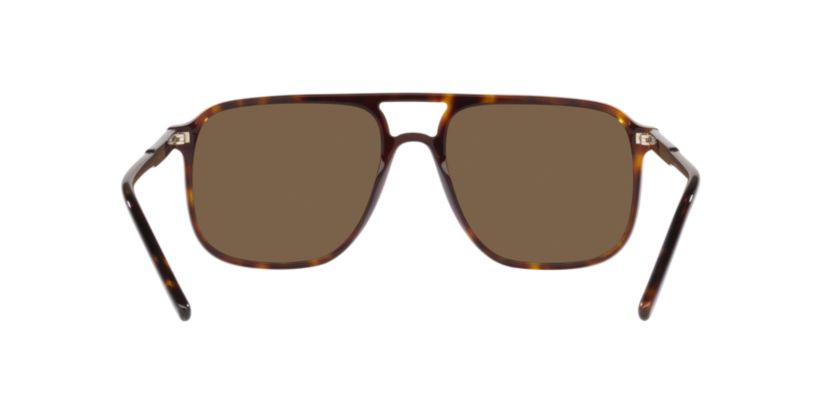 Polarized Sunglasses
