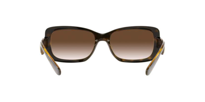 DG6152 Sunglasses