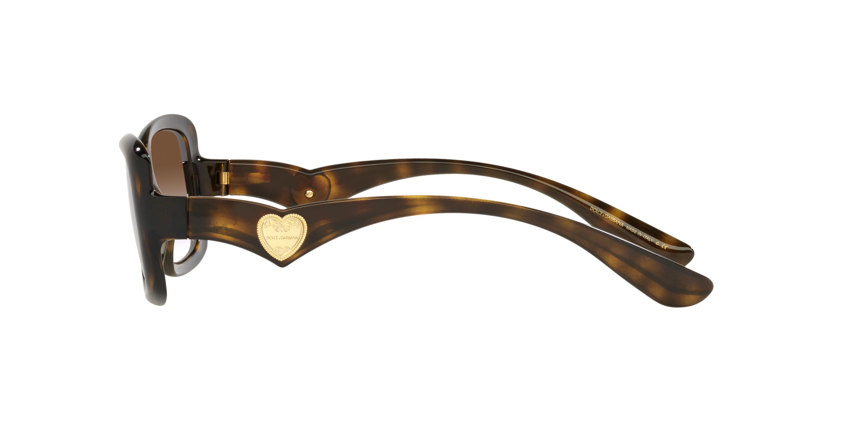 DG6152 Sunglasses