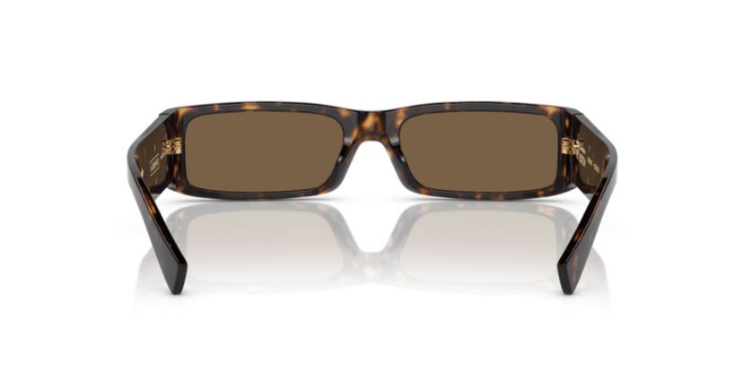 DG4444 Sunglasses