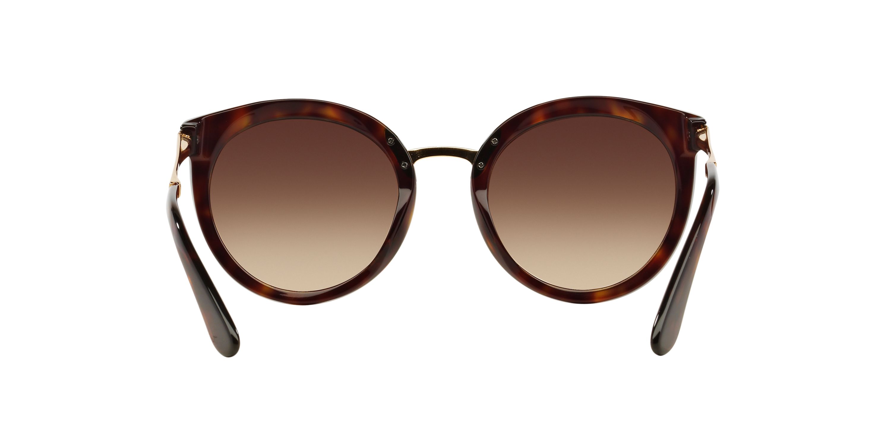 DG4268 Sunglasses