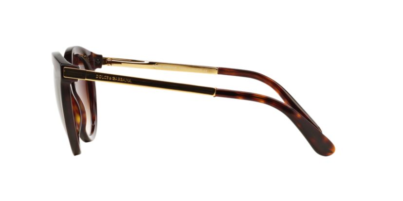 DG4268 Sunglasses
