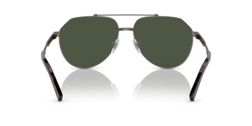 DG2288 Polarized Sunglasses
