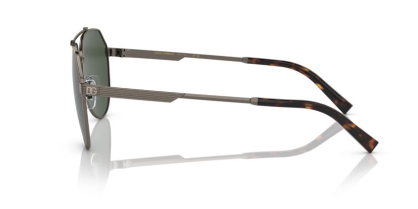 DG2288 Polarized Sunglasses