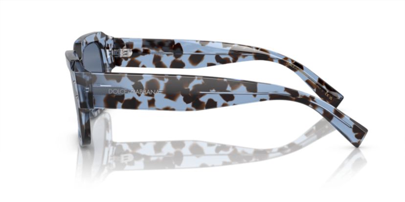 DG4460  Sunglasses