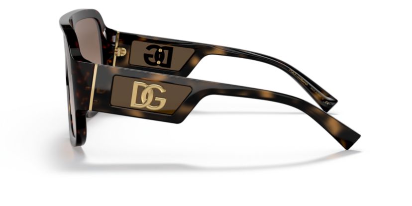 DG4401 Sunglasses