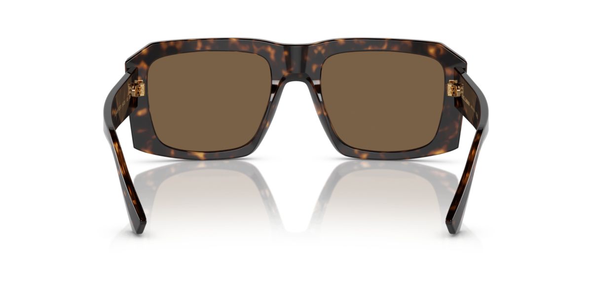 VE4442 Sunglasses