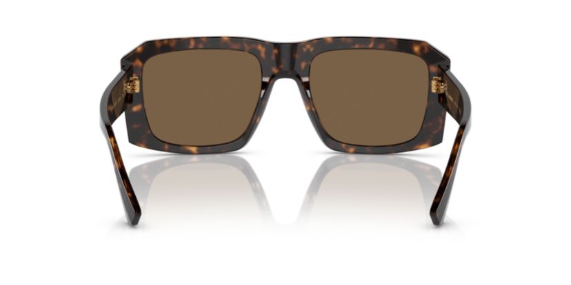 VE4442 Sunglasses