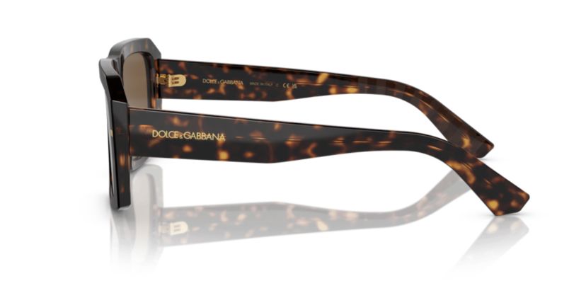 VE4442 Sunglasses