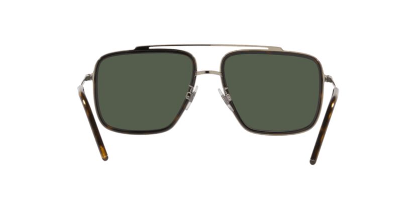 DG2220 Polarized Sunglasses