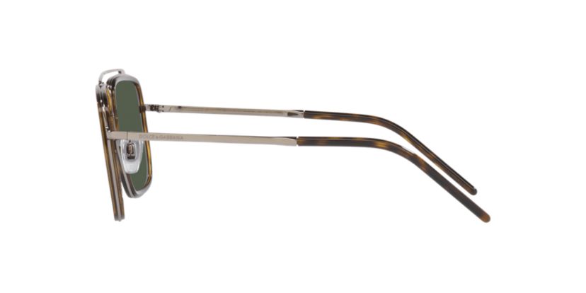 DG2220 Polarized Sunglasses