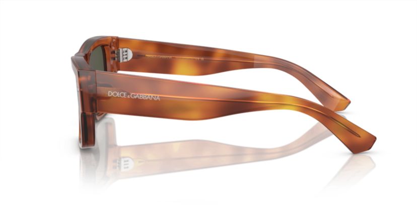 DG4451 Polarized Sunglasses