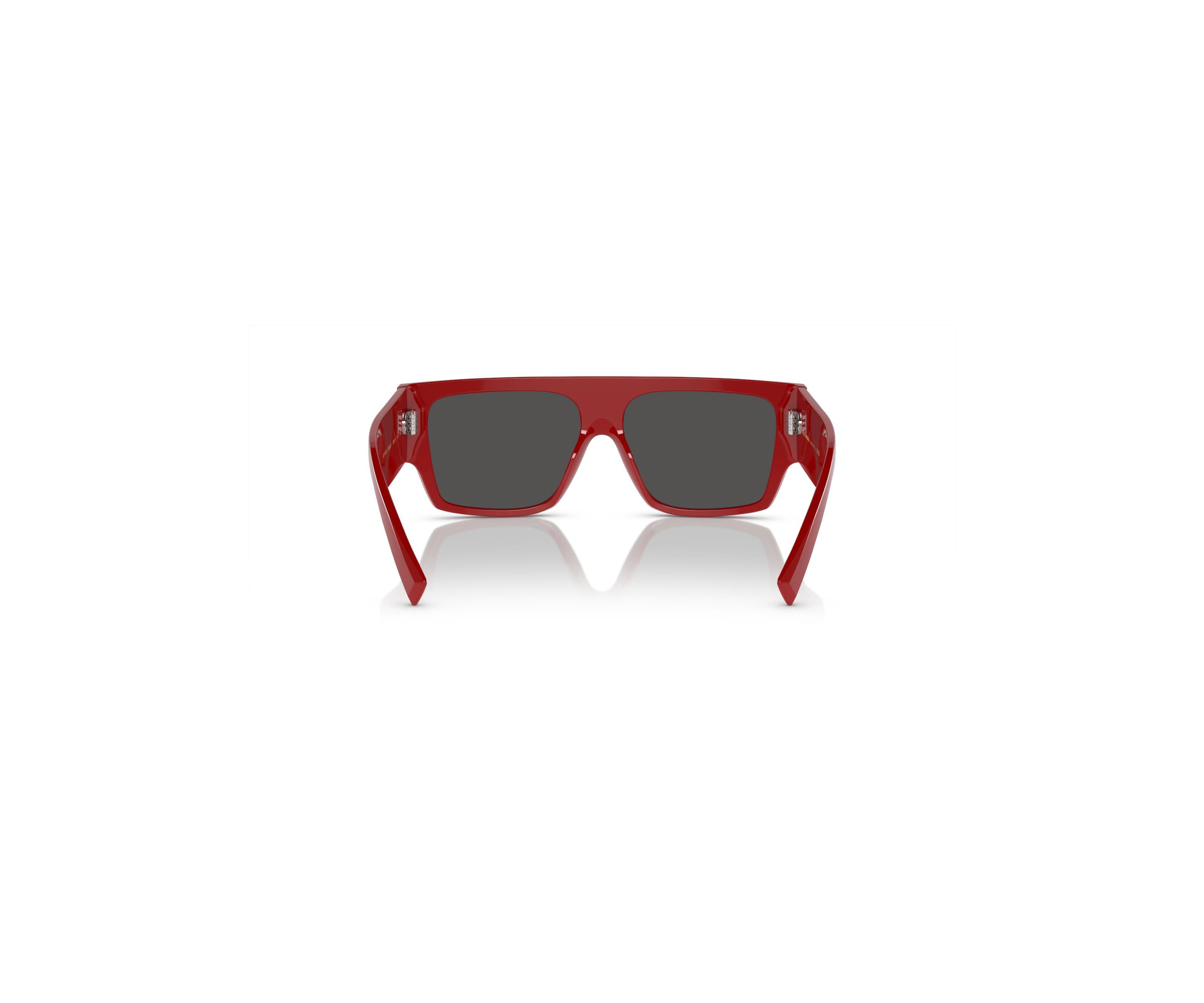 DG4459 Sunglasses