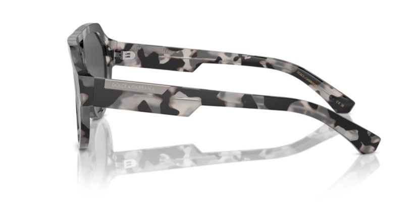 DG4466  Sunglasses