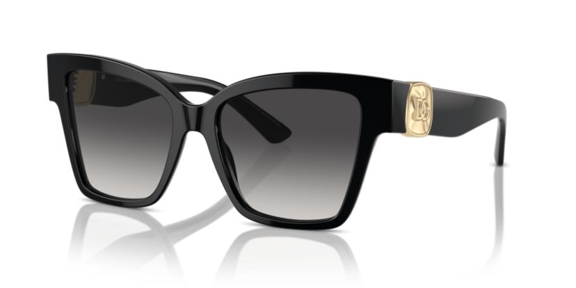 DG4470  Sunglasses