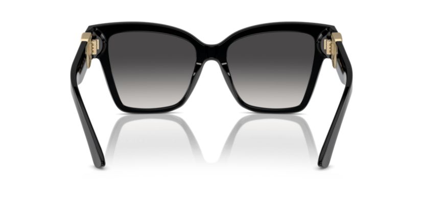 DG4470  Sunglasses