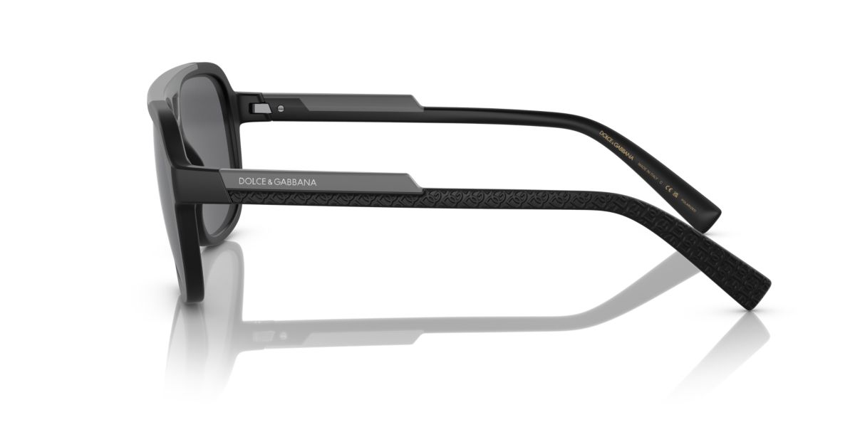 DG6179  Polarized Sunglasses