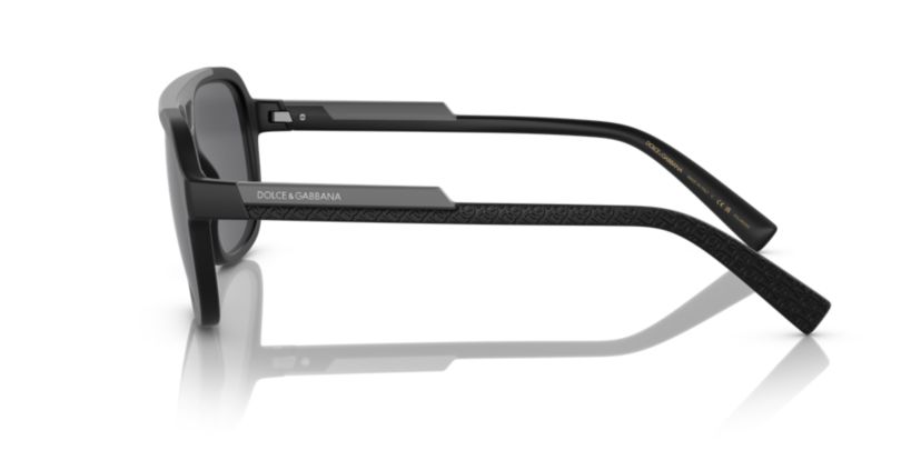 DG6179  Polarized Sunglasses