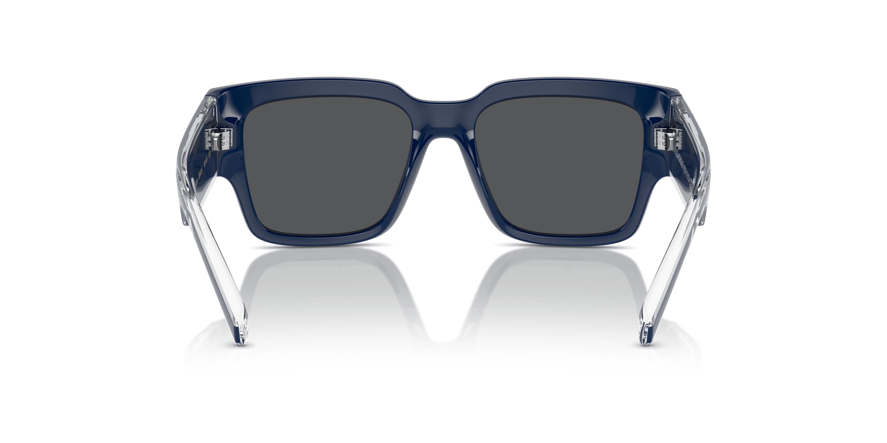 DX6004 Sunglasses