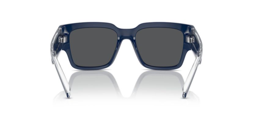 DX6004 Sunglasses