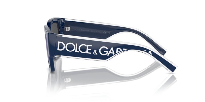 DX6004 Sunglasses