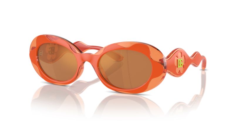 DX6005 Sunglasses