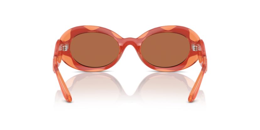 DX6005 Sunglasses