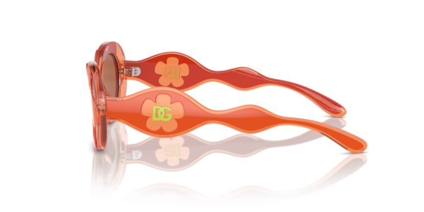 DX6005 Sunglasses
