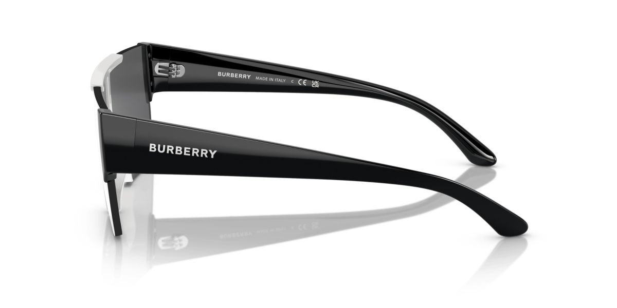 BE4291 Sunglasses