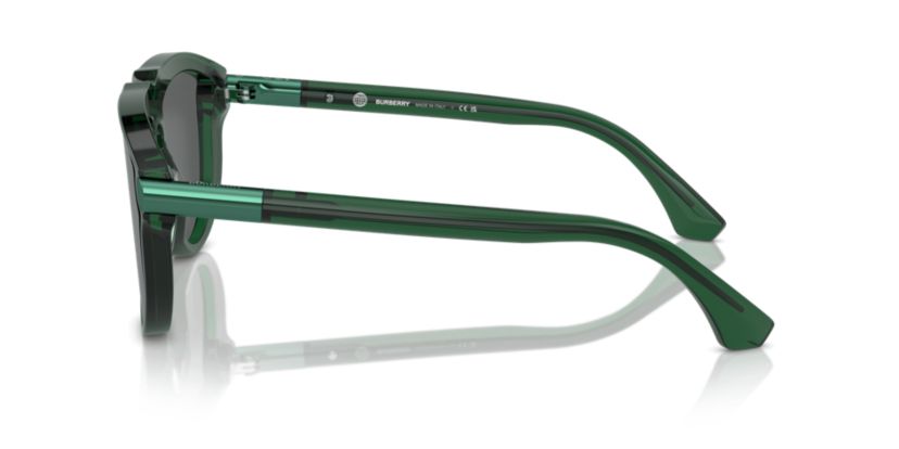BE4427  Sunglasses