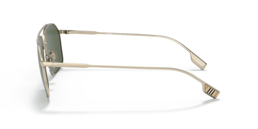 BE3130 Webb Polarized Sunglasses