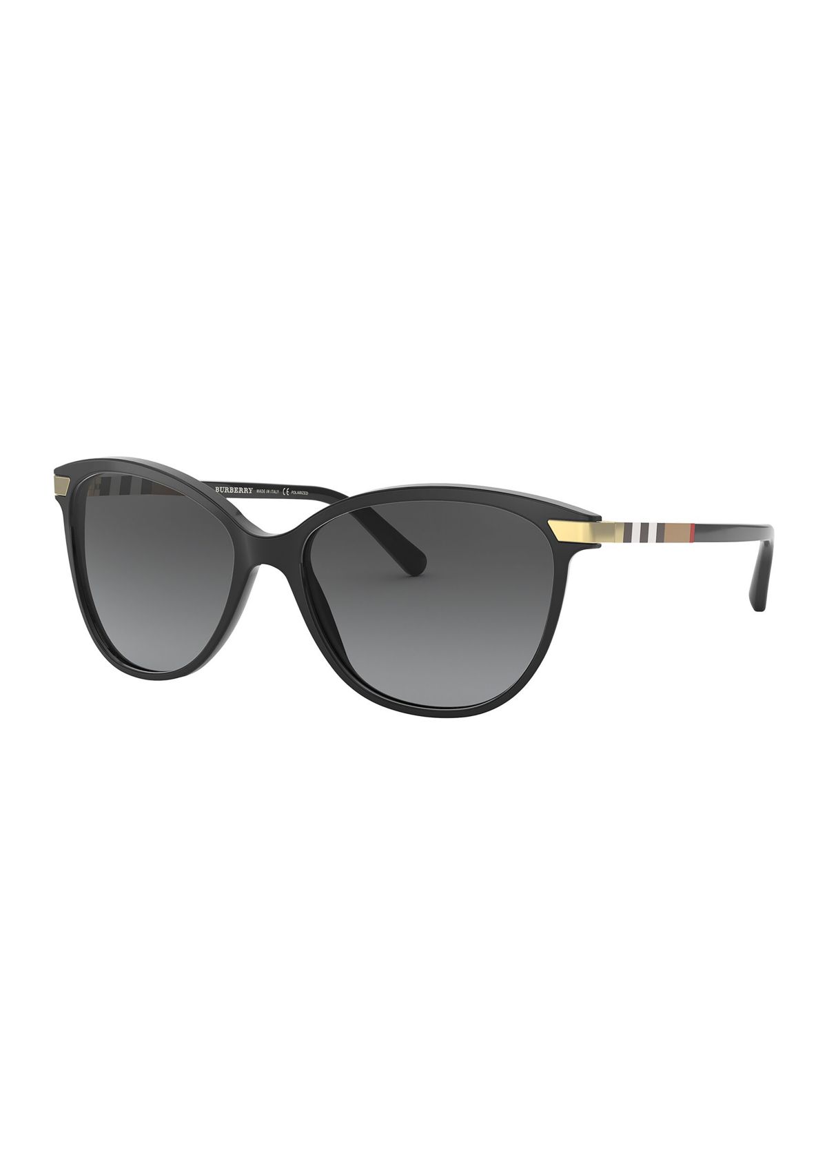 BE4216  Polarized Sunglasses
