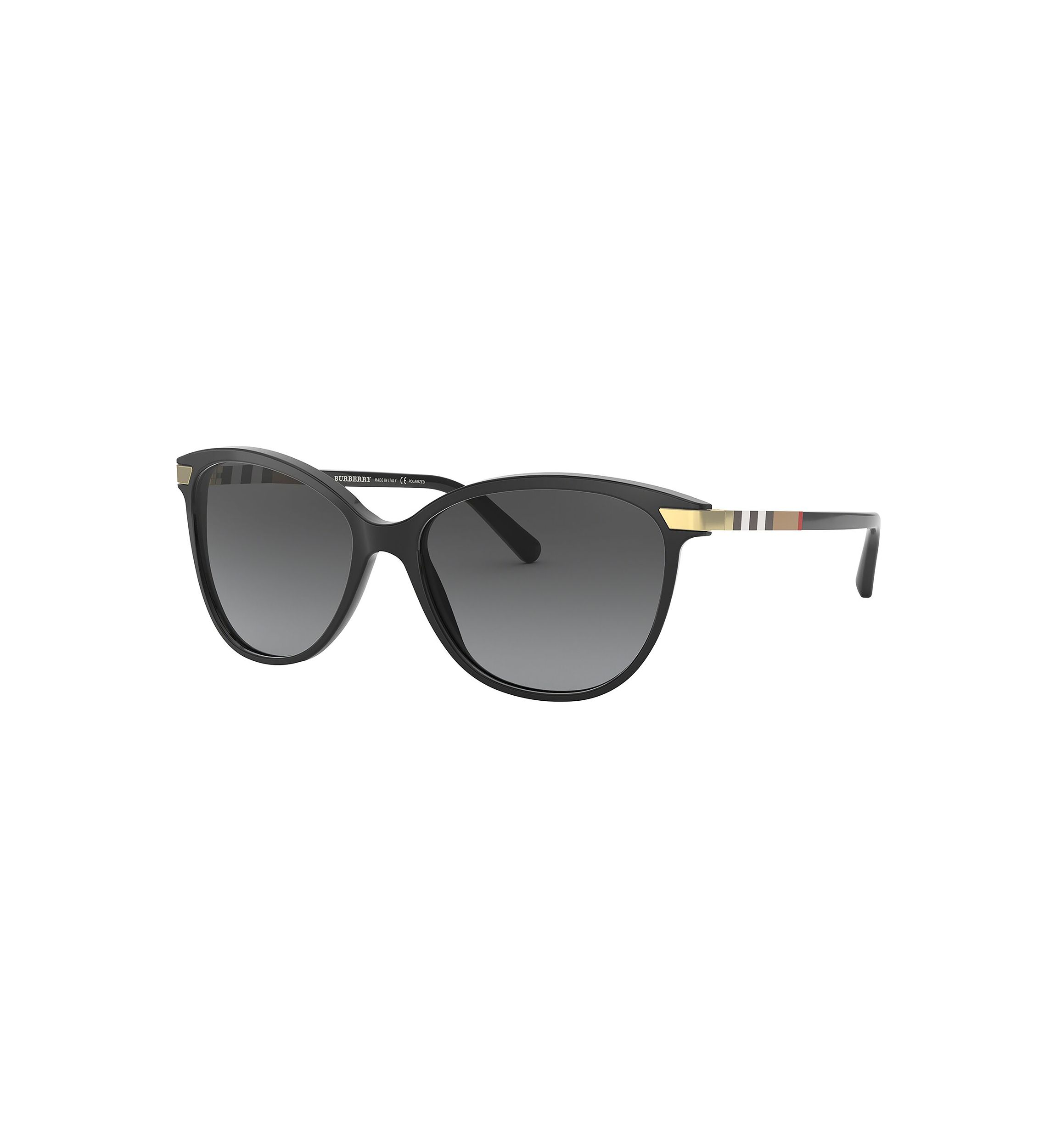 BE4216  Polarized Sunglasses