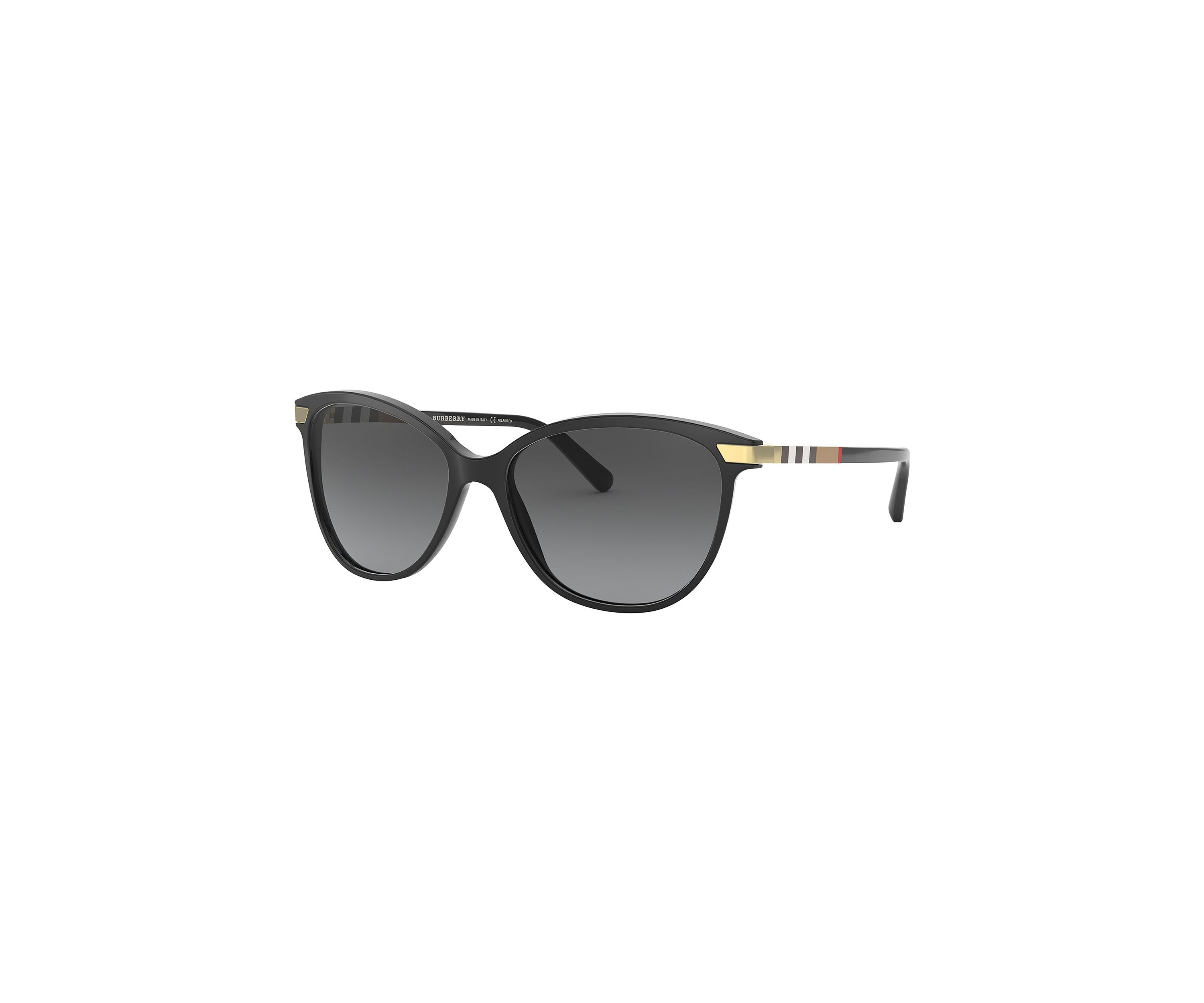 BE4216  Polarized Sunglasses