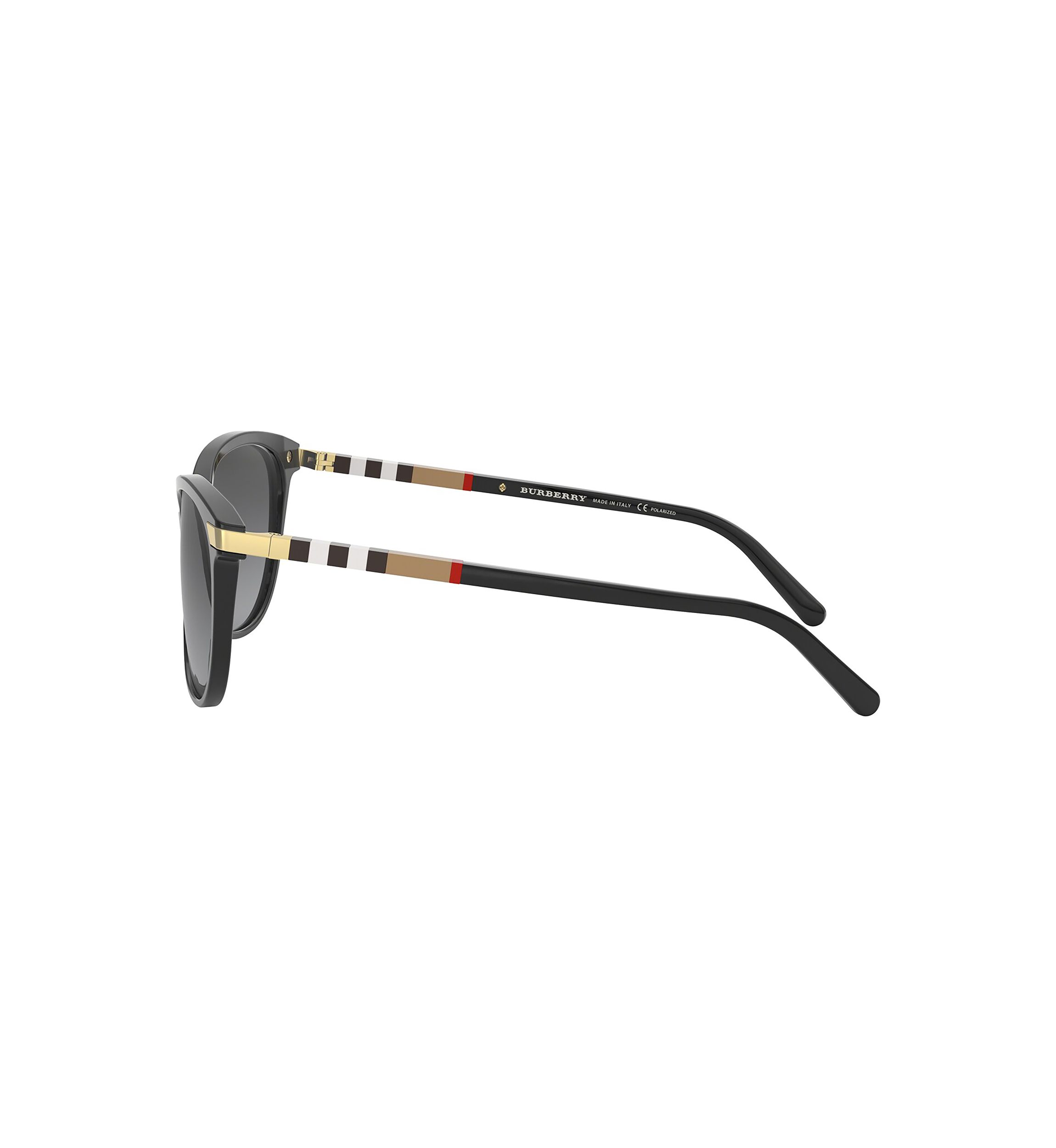 BE4216  Polarized Sunglasses