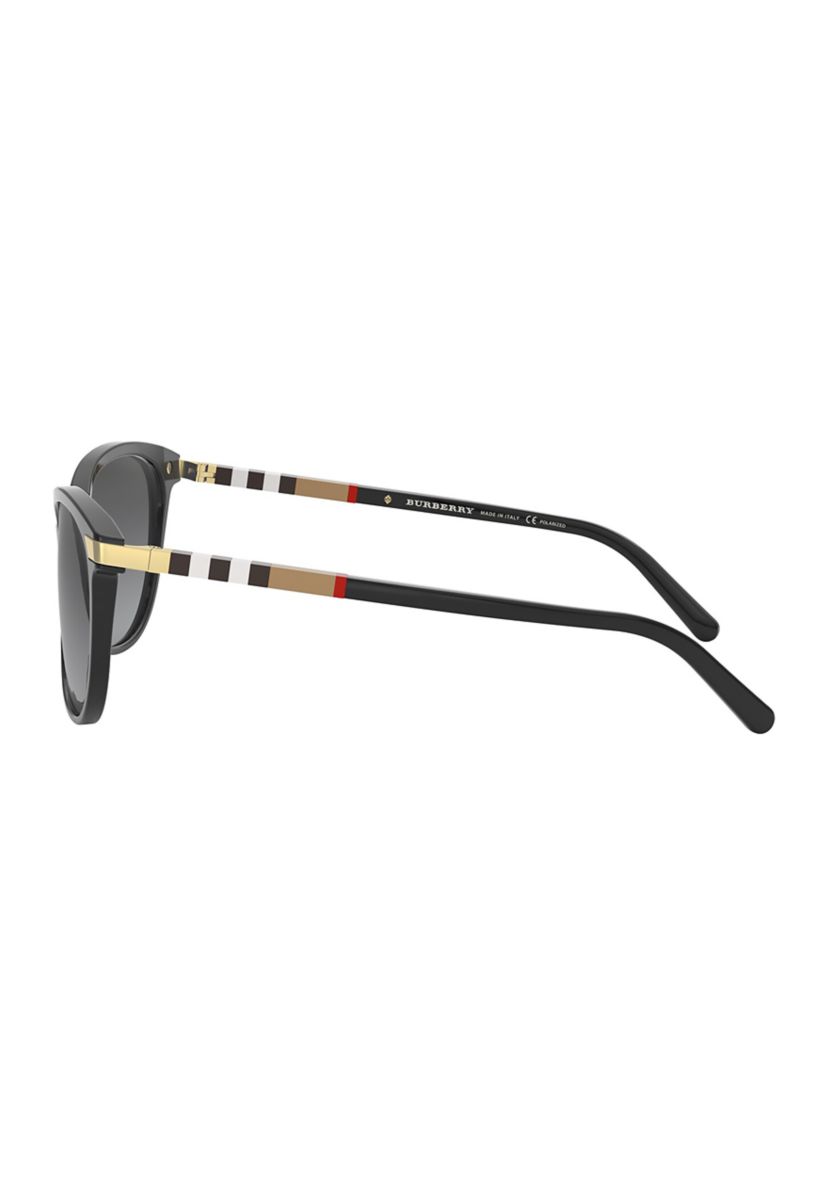 BE4216  Polarized Sunglasses
