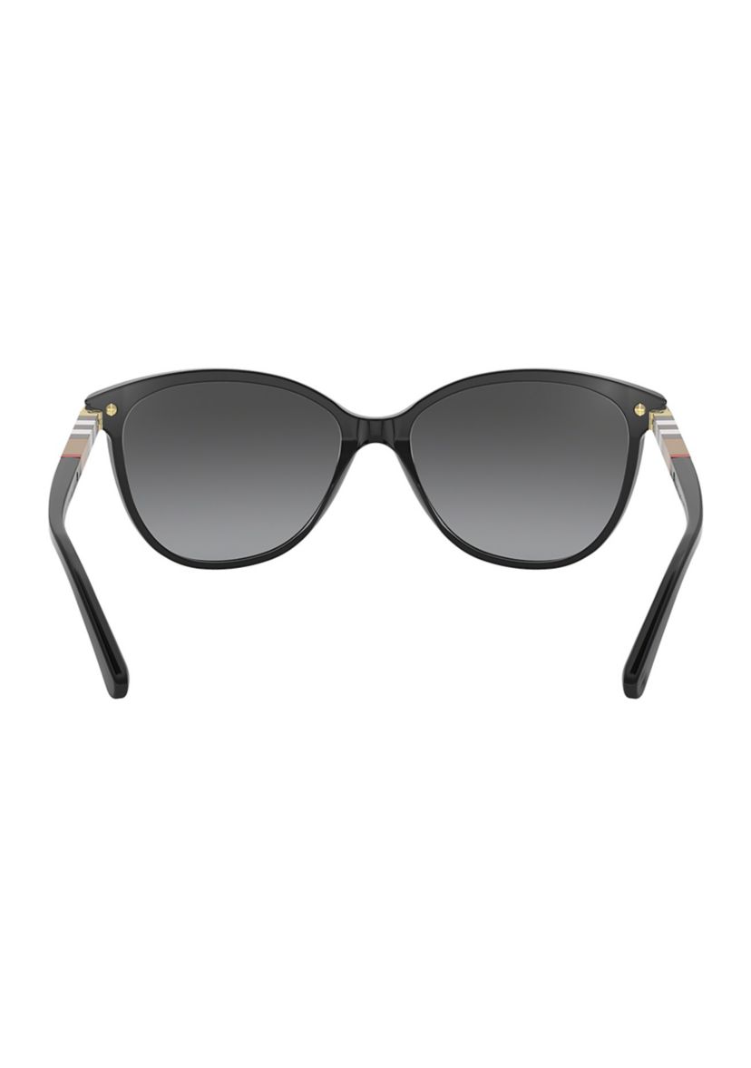 BE4216  Polarized Sunglasses