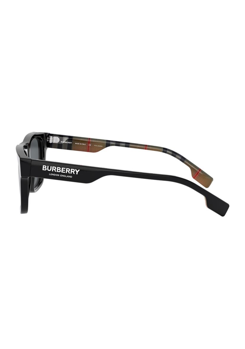 BE4293  Polarized Sunglasses