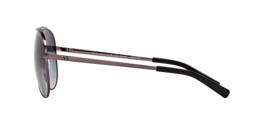 AX2002 Polarized Sunglasses
