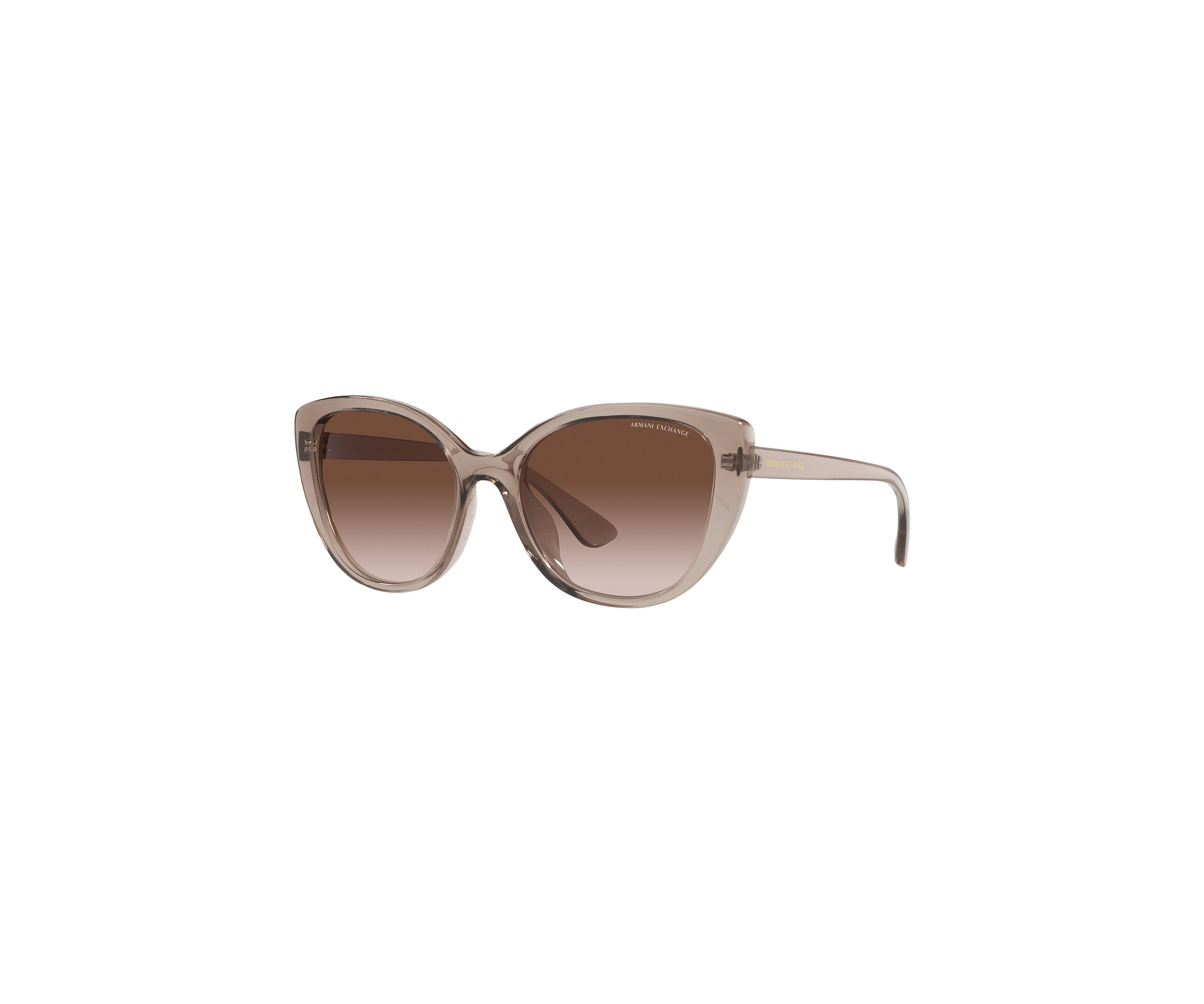 AX4111SU  Sunglasses