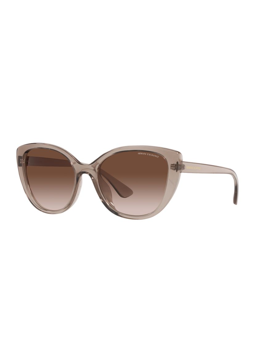 AX4111SU  Sunglasses